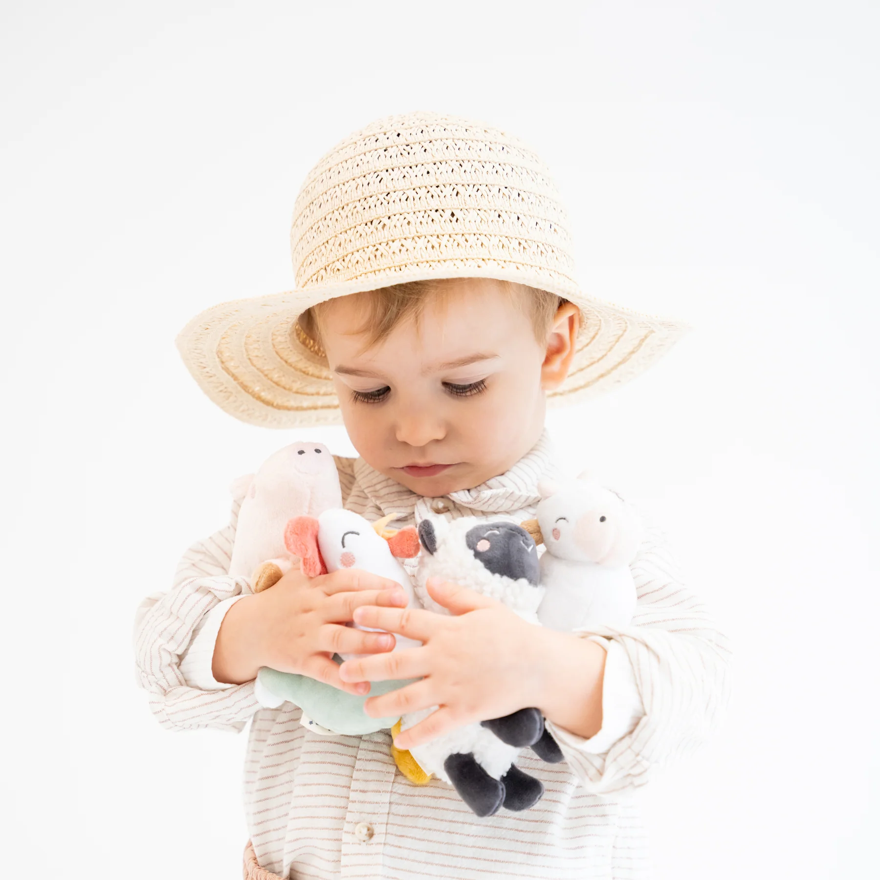 Expozitie agricola cu 8 animale mici de ferma [2]