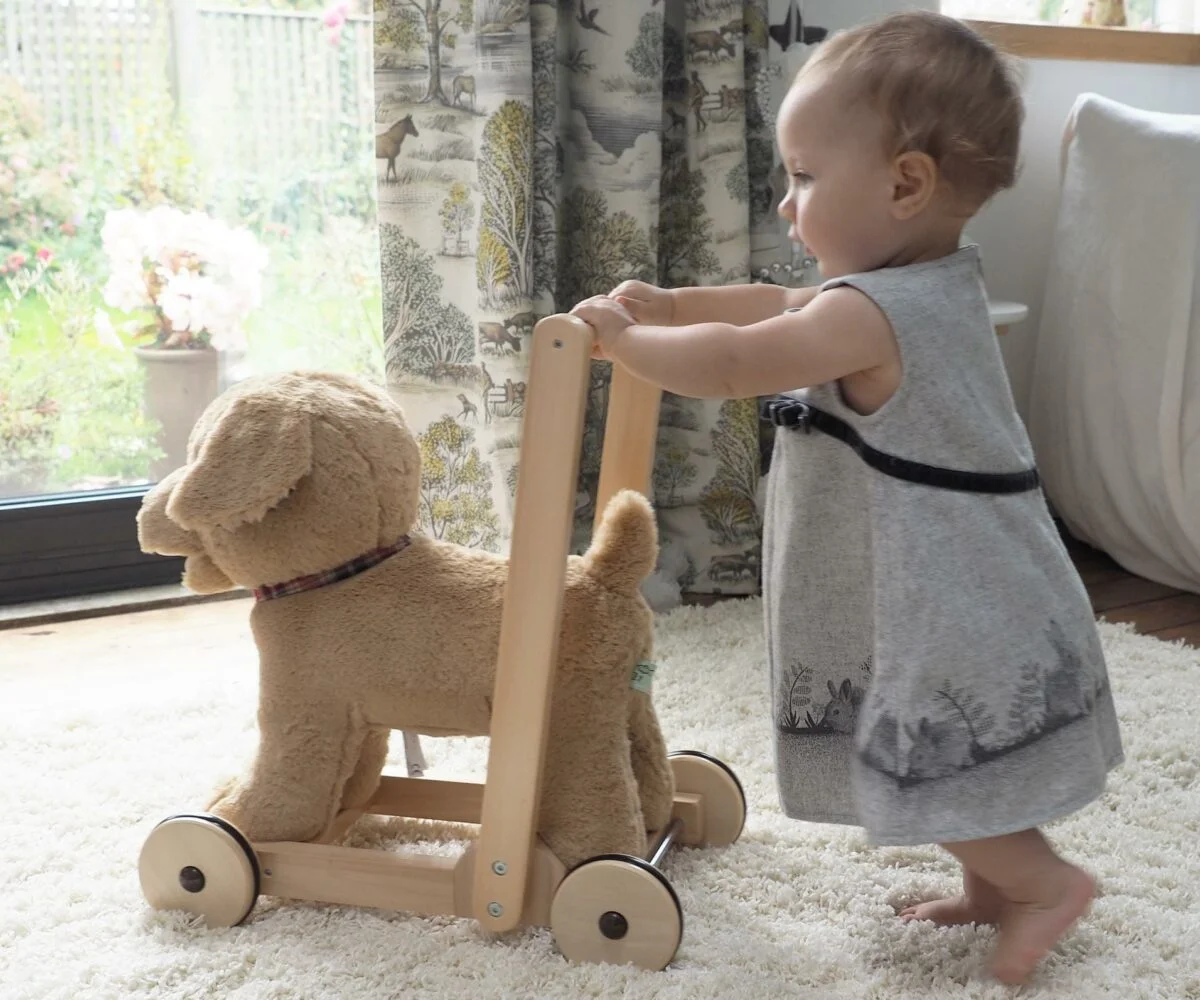 Little Bird Told Me - Dexter Dog Walker, Push Along & Ride On Toy pentru copii de peste 1 an, Golden Labrador Caine Pufos pentru copii mici, Cadru robust din lemn, Scaun căptusit [1]