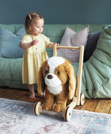 Plimbare & Relaxare - Little Bird Told Me - Peanut Pup Walker, Push Along & Ride On Toy pentru copii de peste 1 an, King Charles Spaniel Caine Pufos pentru copii mici, Cadru robust din lemn, Scaun căptusit