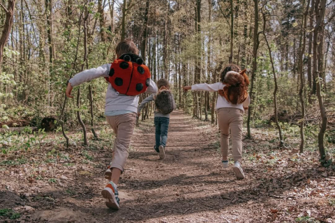 Rucsac copii Wild & Soft Buburuză – rucsac pluș premium cu bretele reglabile [9]