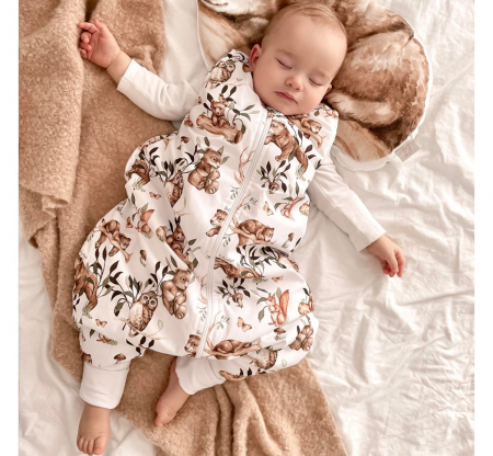 Sac de dormit cu picioare, bumbac 2.5 Tog, Dreams, S, 1-2 ani [2]