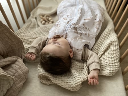 Sac de dormit cu picioare, bumbac cu umplutura 2.5 Tog, tot parcusul anului, Nature, marimea S, 1-2 ani - BabySteps [19]