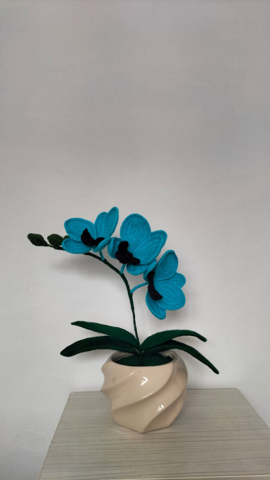 Orhidee crosetata model blu [3]