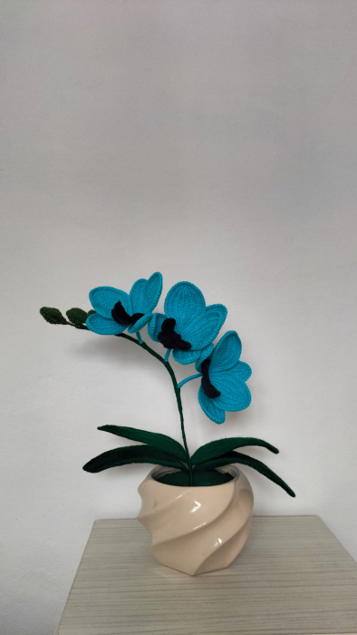 Orhidee crosetata model blu [2]