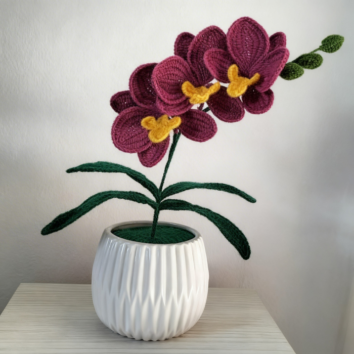 Orhidee magenta crosetata [3]