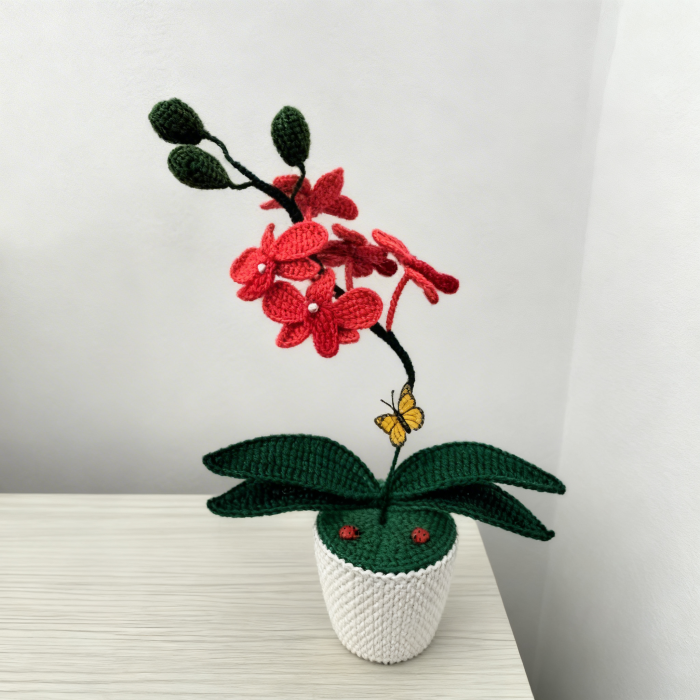 Orhidee crosetata corai [3]