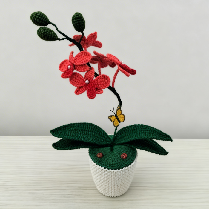 Orhidee crosetata corai [2]