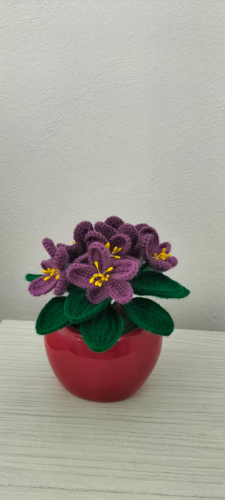 Violeta Parma [3]