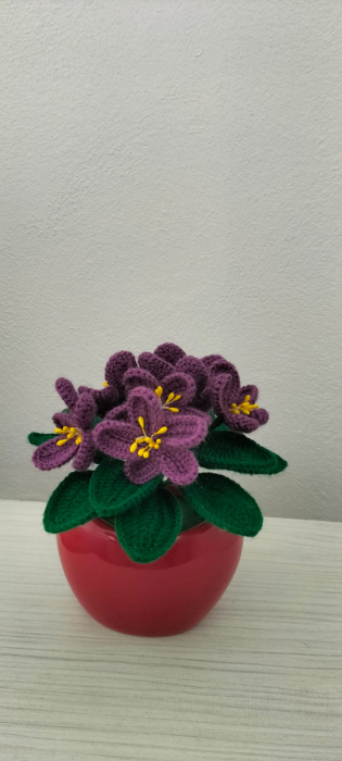 Violeta Parma [1]