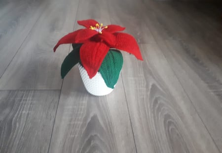 Flori si aranjamente florale crosetate - Craciunita crosetata