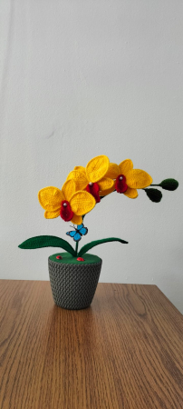 Orhidee crosetata [1]