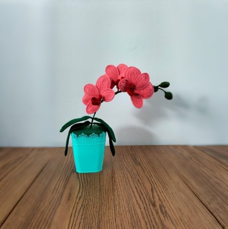 Orhidee culoarea somon crosetata [1]