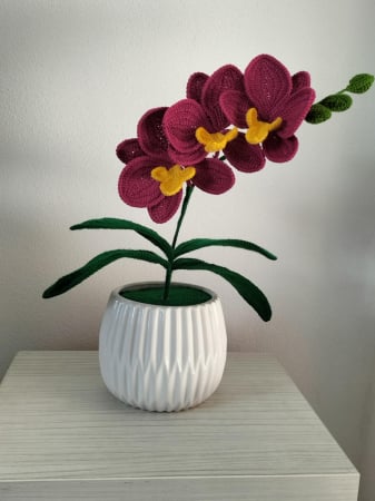 Orhidee crosetata [2]