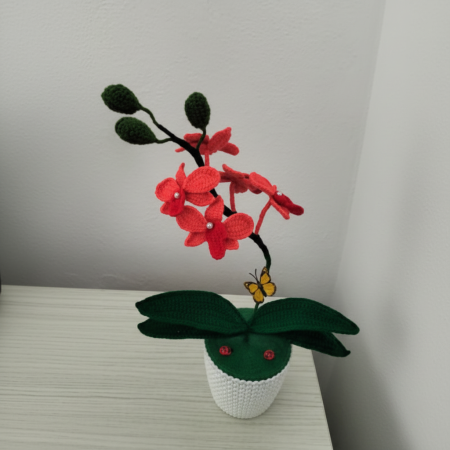 Cadouri personalizate - Orhidee crosetata corai