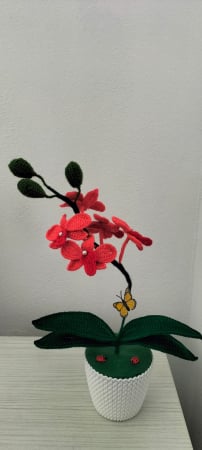 Flori si aranjamente florale crosetate - Orhidee crosetata corai