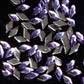 Diamant Mov [1]