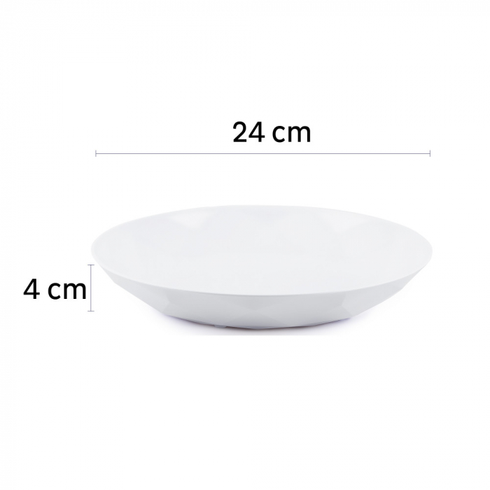 Farfurie magnetica plastic + suport feros - set de 2 buc. [5]