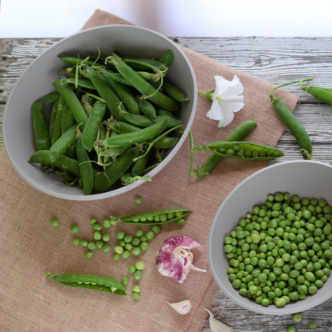 Bol 12x14x5,8 cm - PANGEA [14]