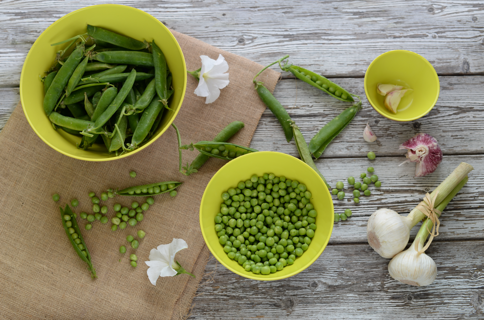 Bol ø18,5xh10cm 1,5 lt  - EcoLiving [2]