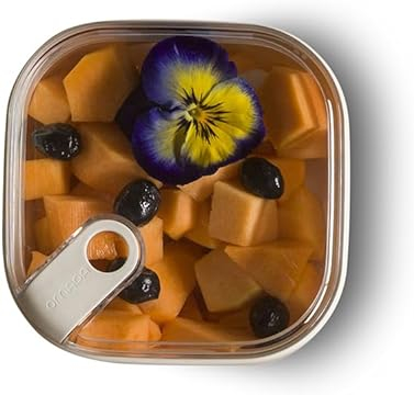 Cutie alimentara patrata mare cu grătar 19,5x19,5x10,5 cm/2 L - PULL BOX [7]