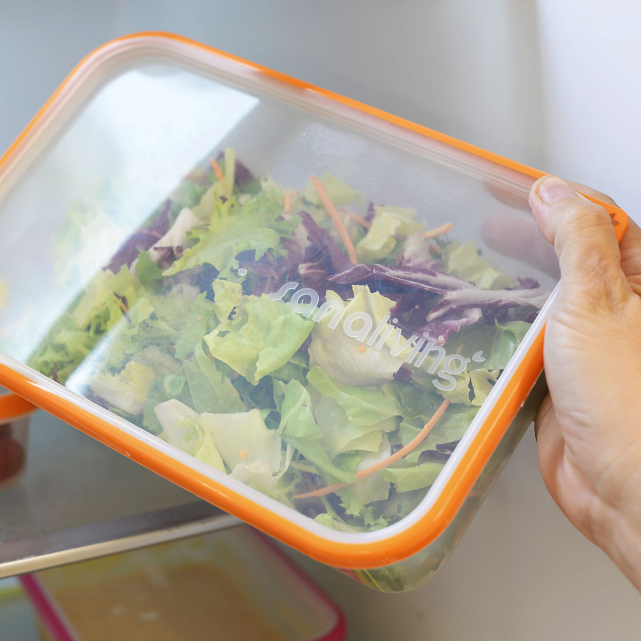 Cutie de conservare alimente 19x14x9 cm  1,3L - SanaLiving [6]