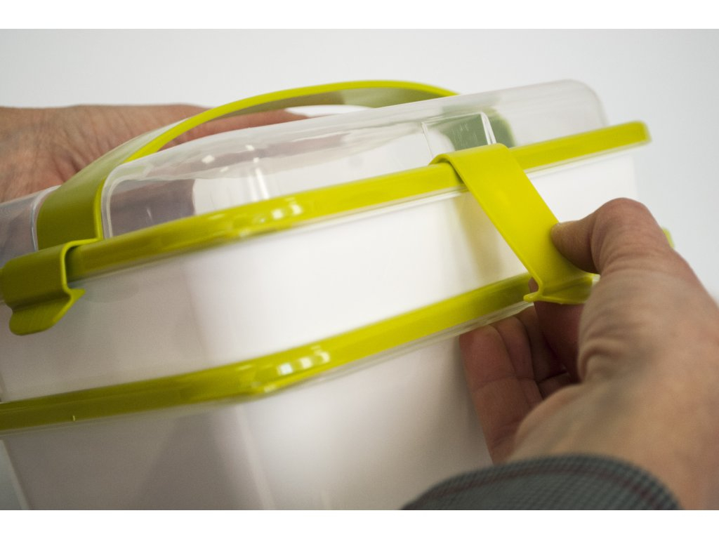 Set cutie de prânz YOUNG cu toartă şi tacâmuri 20x14,5x15,5 cm (1L+1L) - SanaLiving [12]