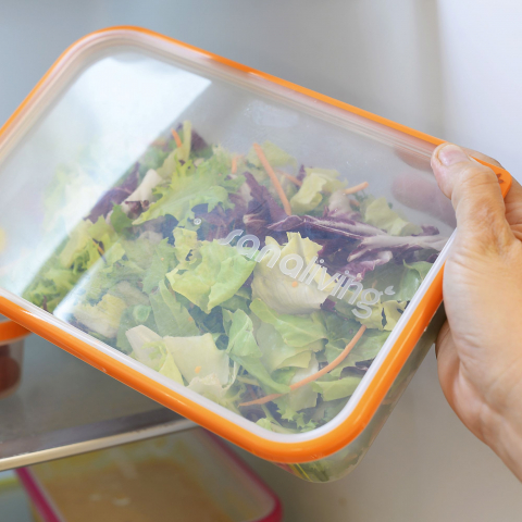 Cutie Conservare 11,5x8x5 cm/0,2L - SanaLiving [5]