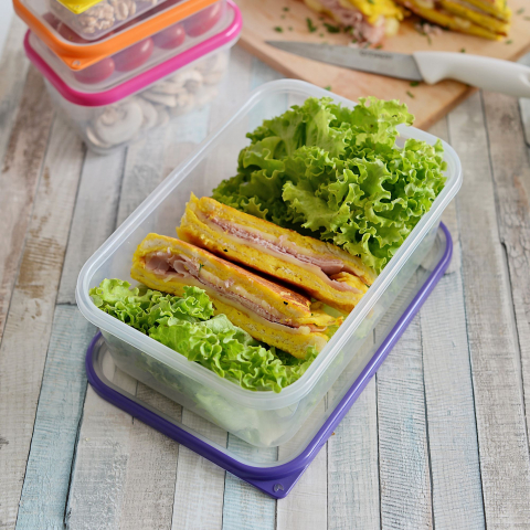 Cutie de Conservare 15x11x5 cm/0,4L - SanaLiving [5]