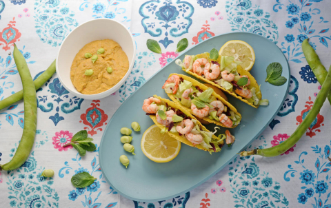 Platou 26x48,2x2,2 cm - PANGEA [5]