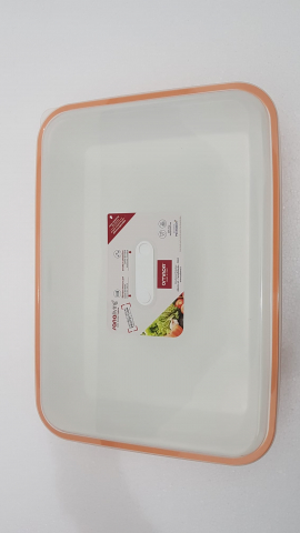 Tavă/Platou cu capac 3,2 L - SanaLiving [3]