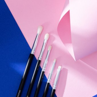 Set 5 pensule profesionale Splendor pentru ochi par capra alba + borseta [1]