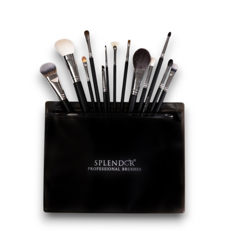 Toate Produsele - Set 13 Pensule Profesionale SPLENDOR, Par Fibre Moi Sintetice, Capra, Ponei + Borseta