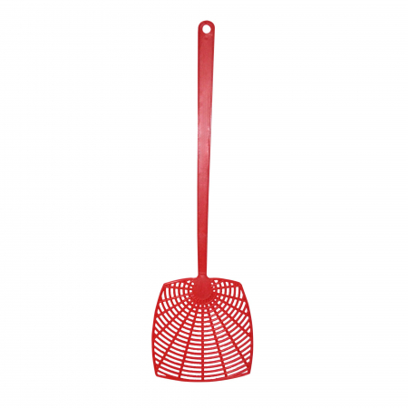 Diverse - PLICI MUSTE / INSECTE   C3157