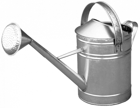 Gradinarit si irigatii - STROPITOARE 10L ZINCATA 635141