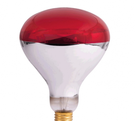 Surse de iluminat - BEC INFRAROSU E27 250W   EL0041672