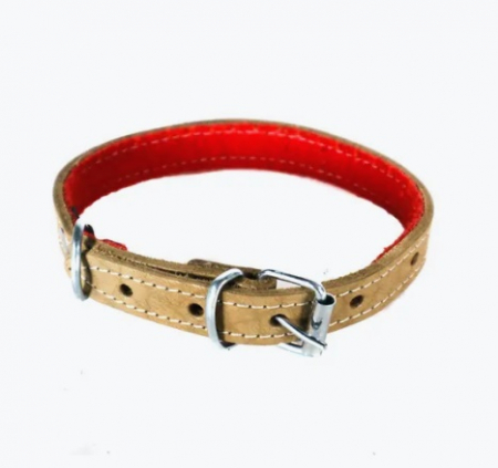 Curele, lanturi si carabine - BERV CUREA CAINE PIELE MIJLOCIE  0339