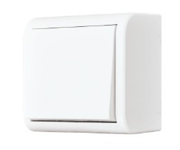 Instalatii electrice si de iluminat - INTRERUPATOR SIMPLU PT ANURA ALB AE20101