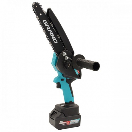 MINI FERASTRAU 20V FARA PERII +INC +2 ACUM GRAND 0315 [1]