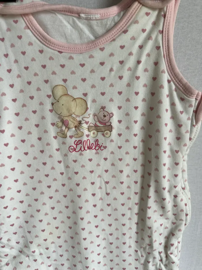 Sac pentru dormit 3/9 luni [2]
