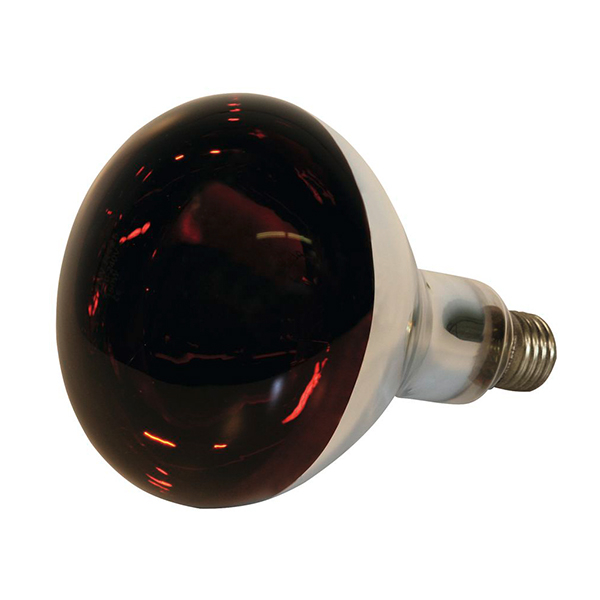 Bec infrarosu sticla groasa, Kerbl [1]