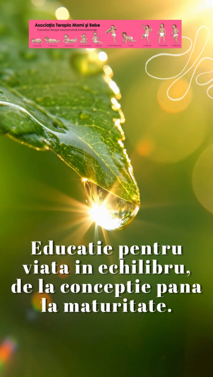 Curs „Educație pentru o viață în echilibru, de la concepție pînă la maturitate” [3]