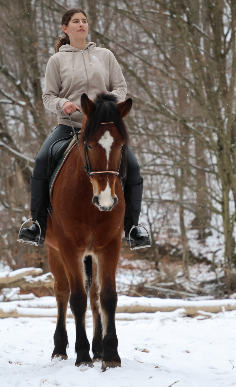 Hanorac cu glugă bej unisex [12]