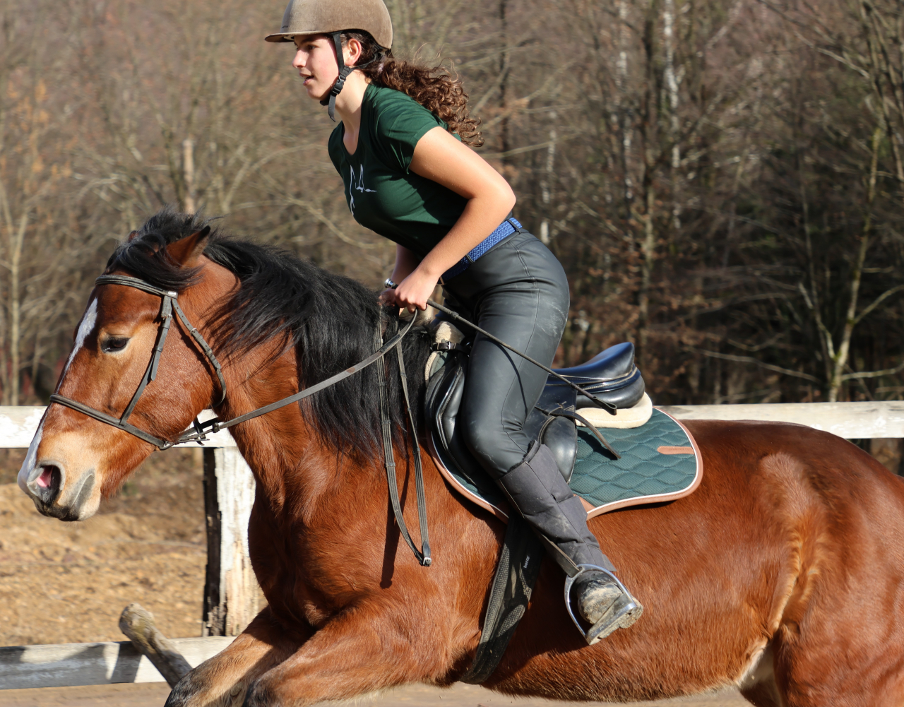 Tricou „Gând verde” / „Green Thought” t-shirt  - fete, femei / women - organic [4]