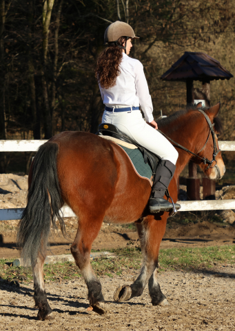 Camasa alba / White Shirt - casual [6]