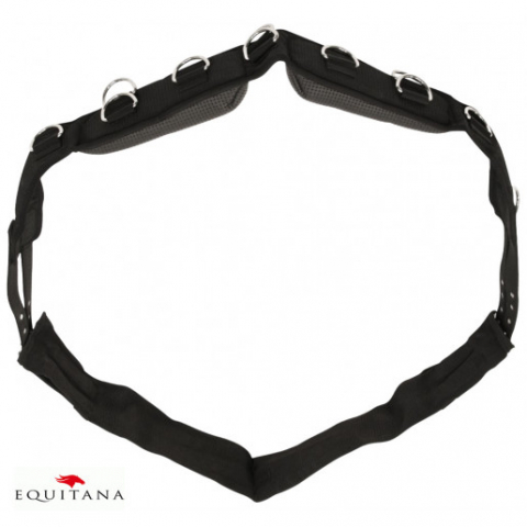 Chinga lonjare Kerbl [1]