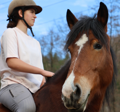 Tricou roz șic / Chic pink T-shirt [15]