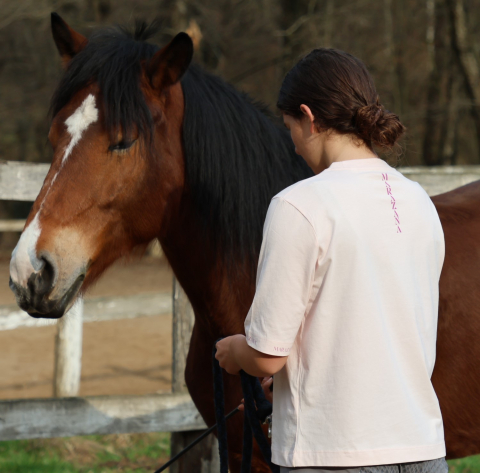 Tricou roz șic / Chic pink T-shirt [18]