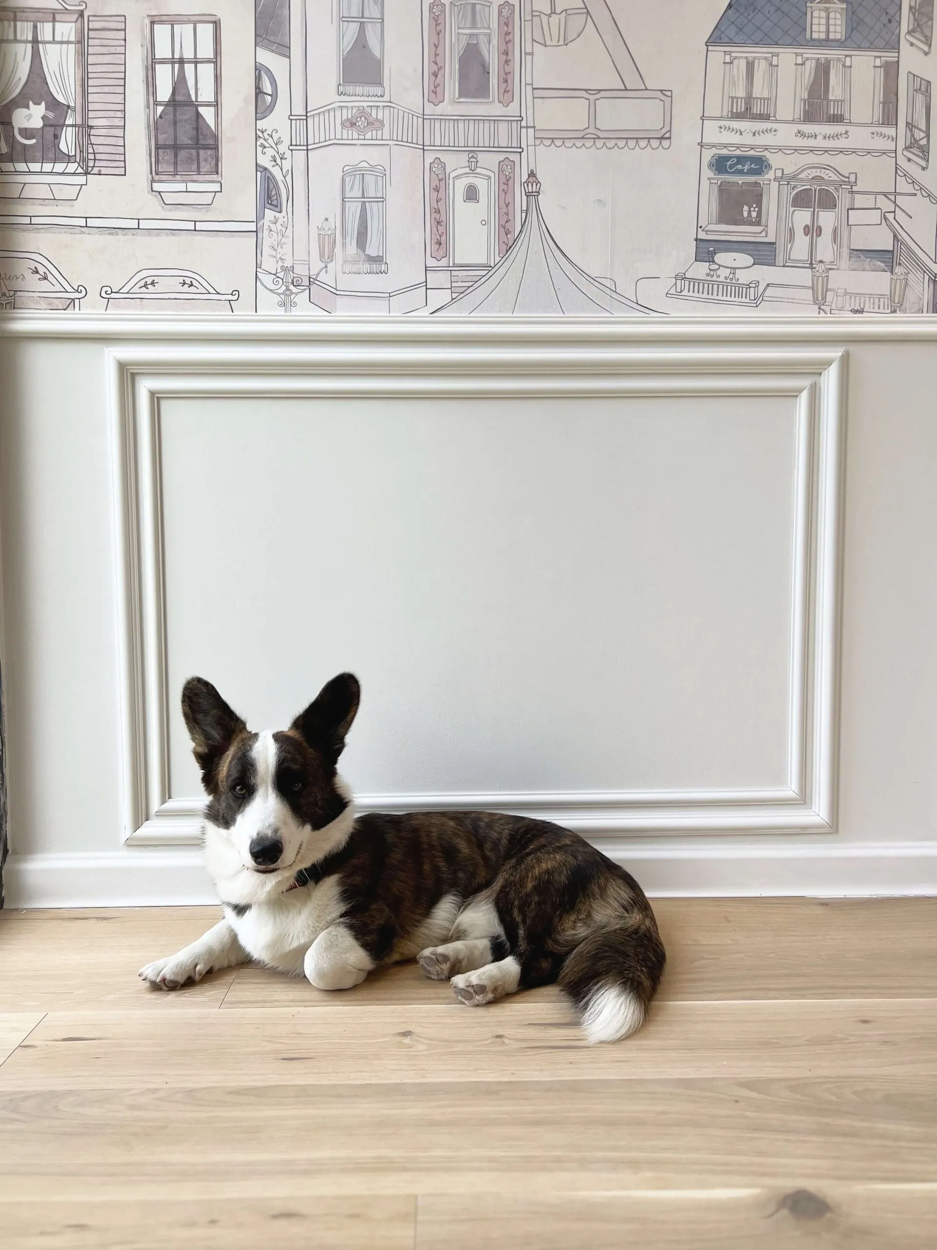 Profil ancadrament MD413 [5]