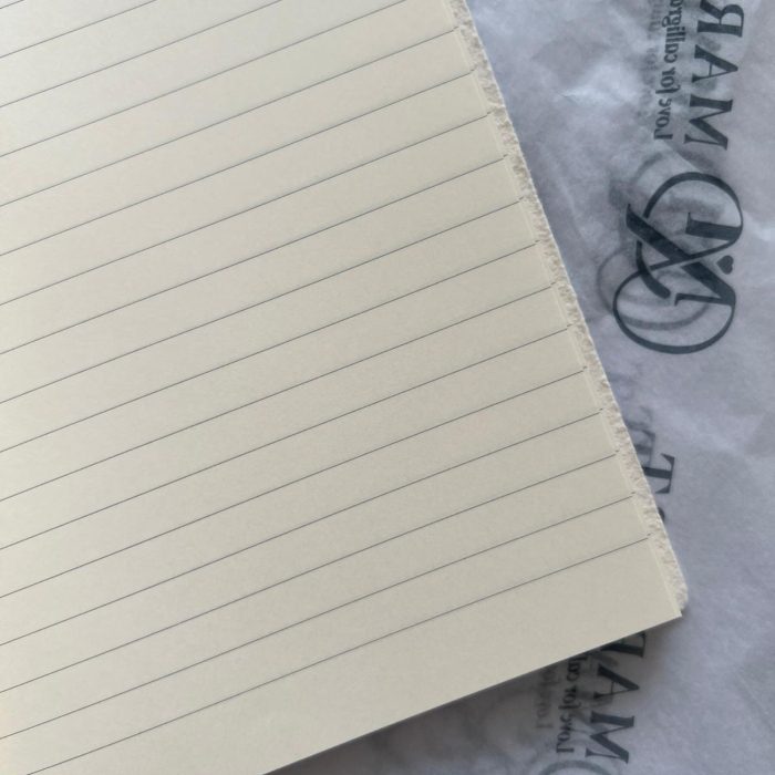 Agenda premium din piele naturală de miel, 90 g/mp, 90 file dictando, A5, Flying Spirit - Clairefontaine [12]