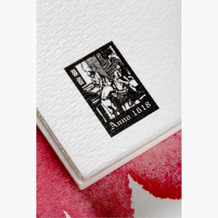 Bloc hartie 100% bumbac, cold pressed, texturata, acuarela, pictura, desen, caligrafie, 10 foi, 26 x 36 cm, 300 g, Fontaine [6]